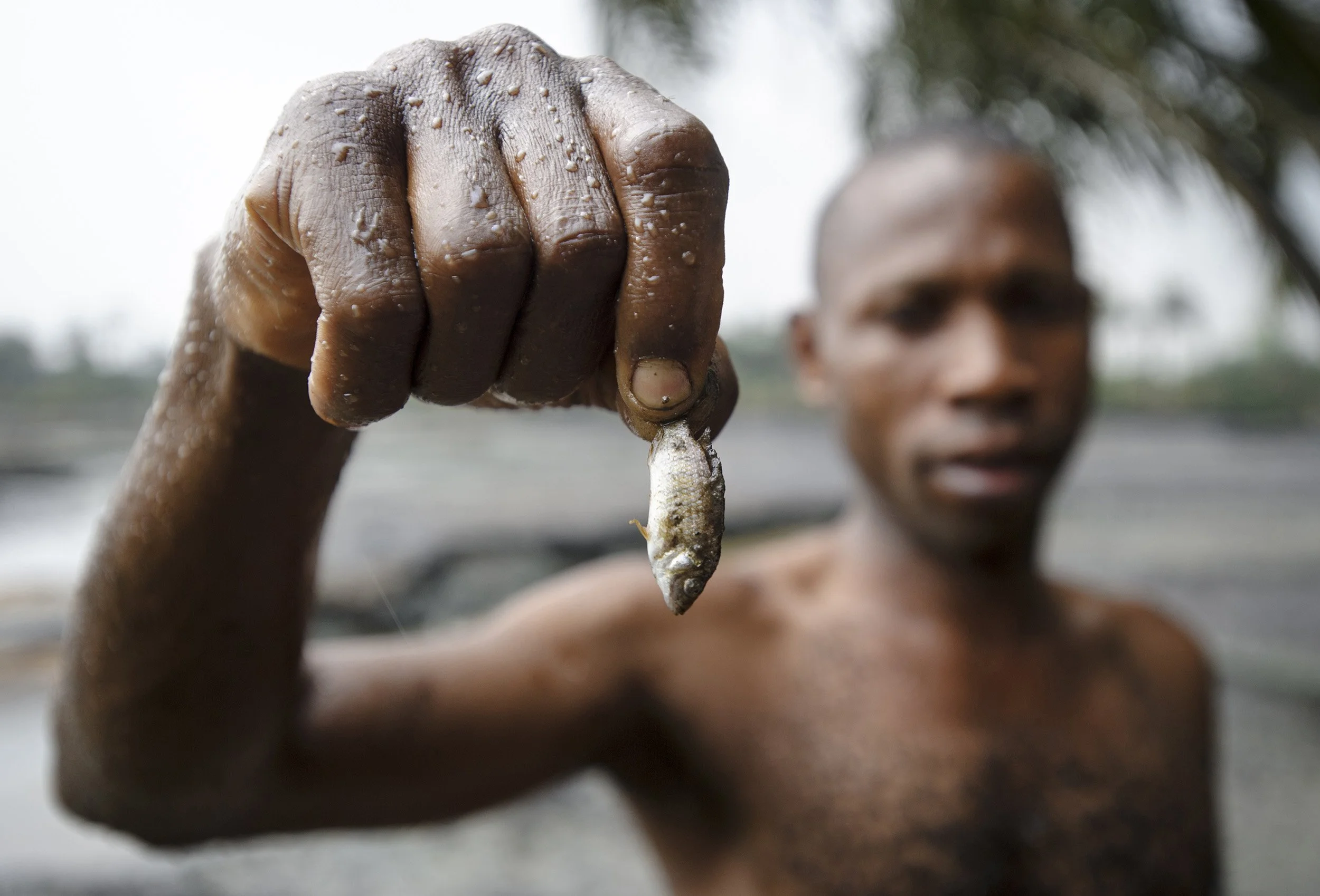 Nigerdelta 8.jpg