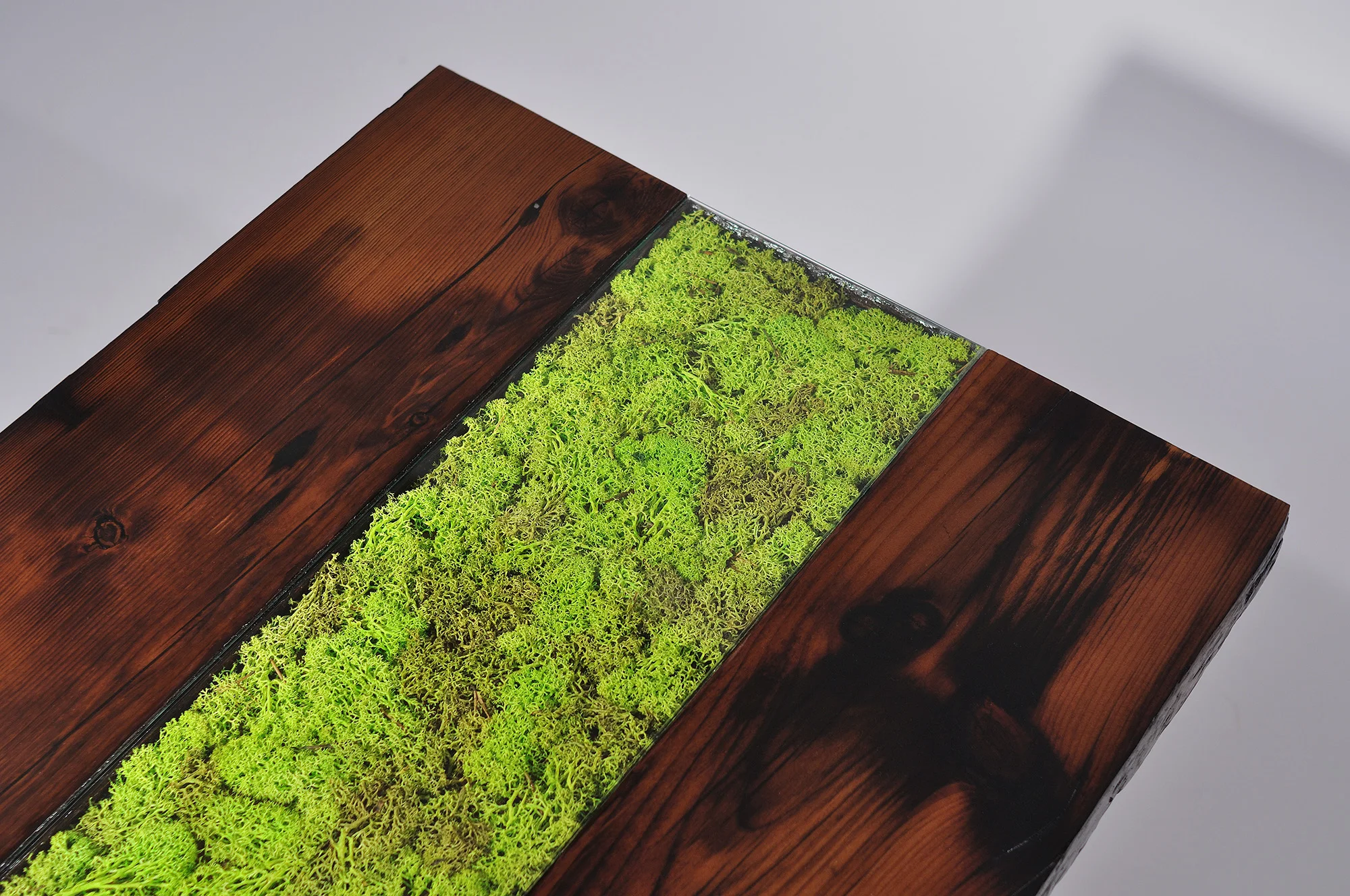 The Canopy Coffee Table