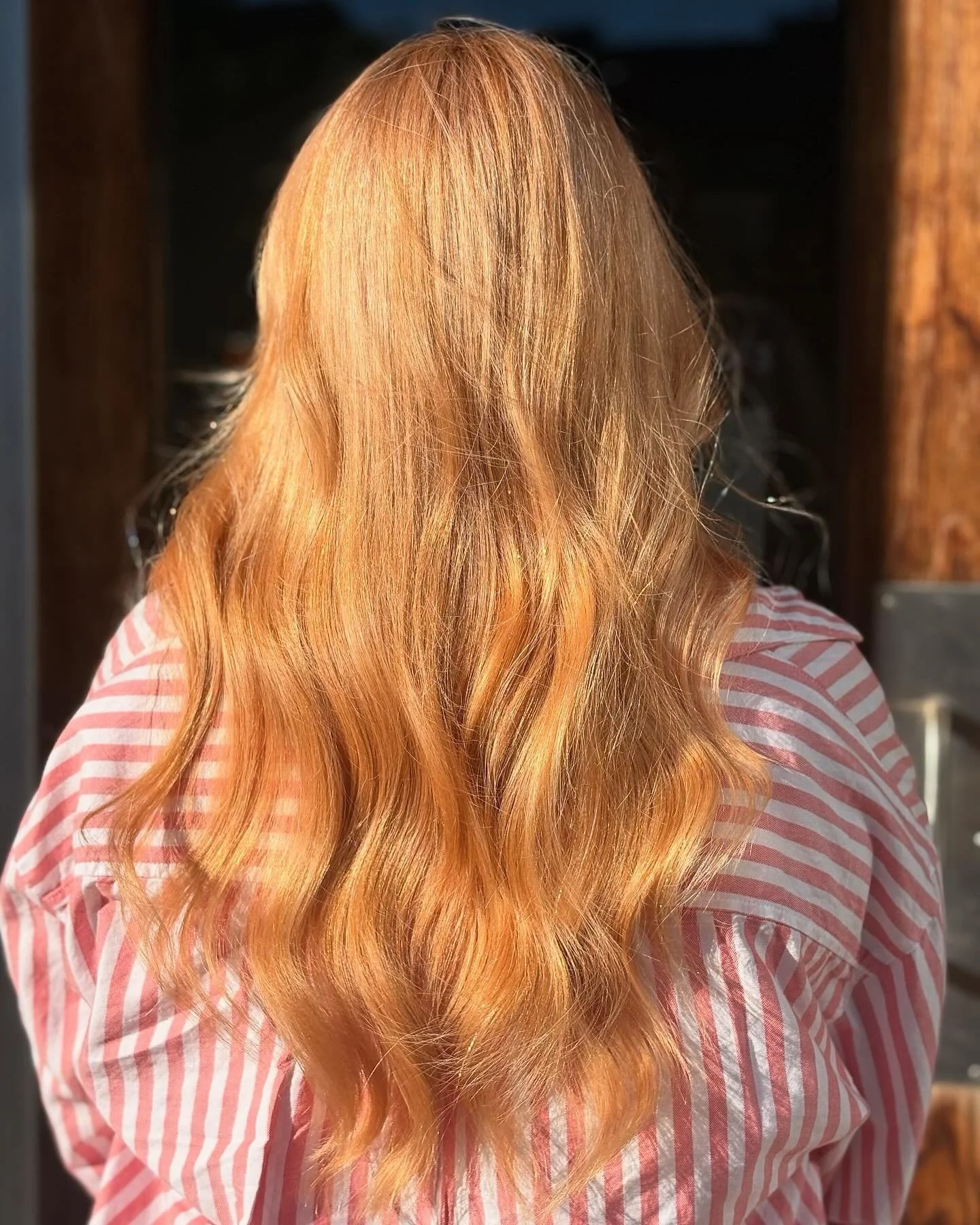 Color by Dani

#downtownknoxville #knoxvillehair #alteregonorthamerica