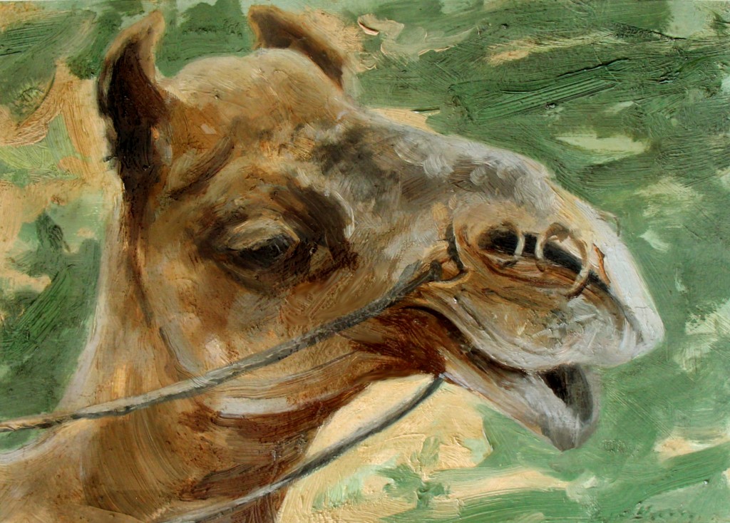 © Camel from Bikaner, 8x11 inches, oil on primed paper - sold