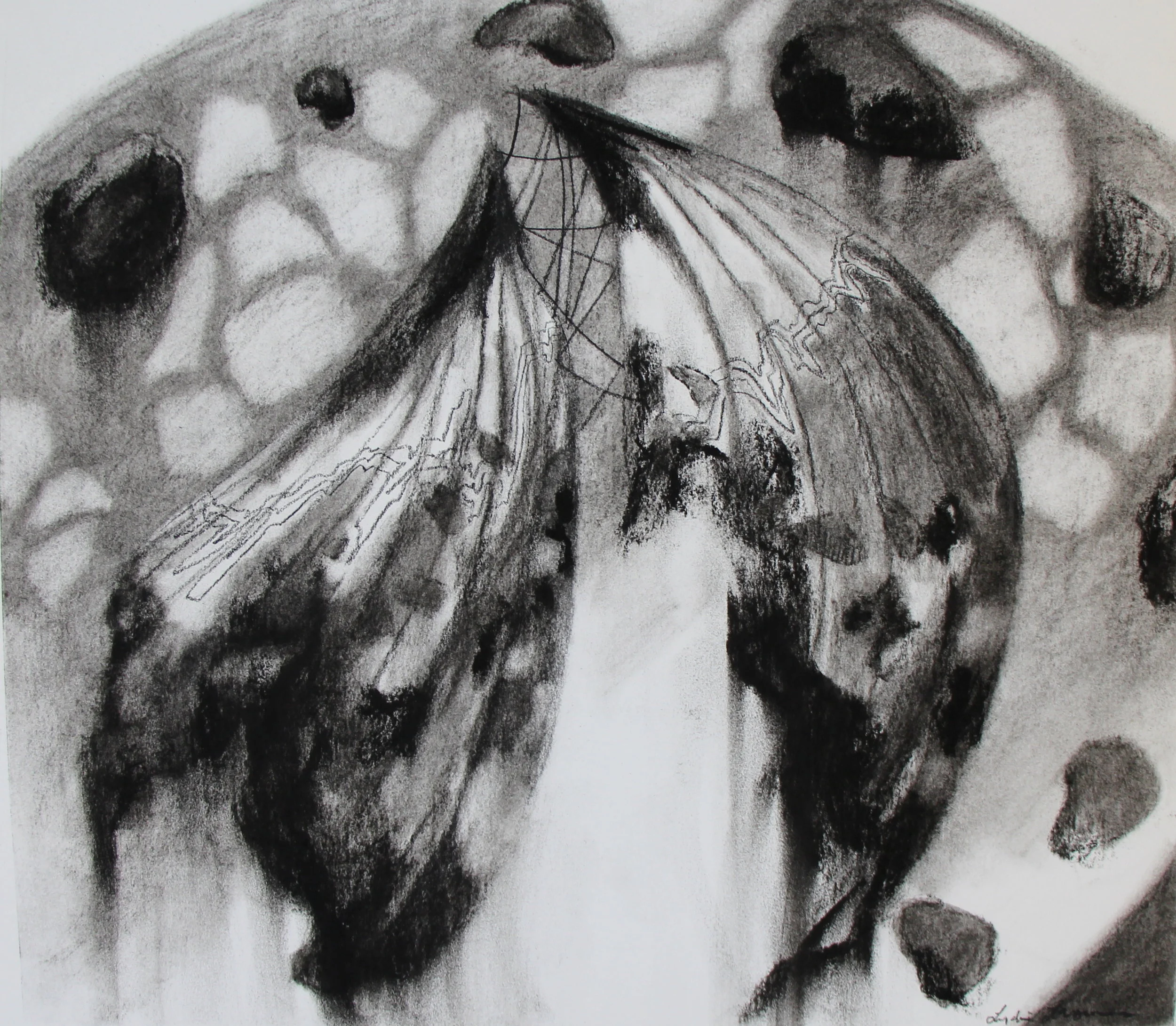  © Life Line II, 10.5x12 inches, charcoal on arches paper - not available 