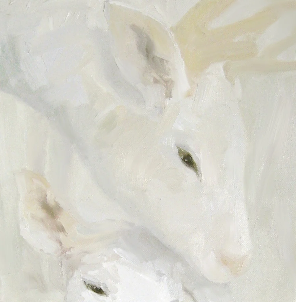 © White on White Study #3, 10x10 inches, oil on canvas - sold