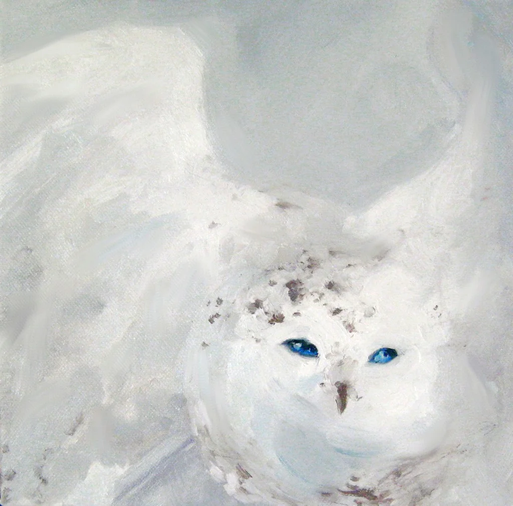 © White on White Study #6, 10x10 inches, oil on canvas - sold