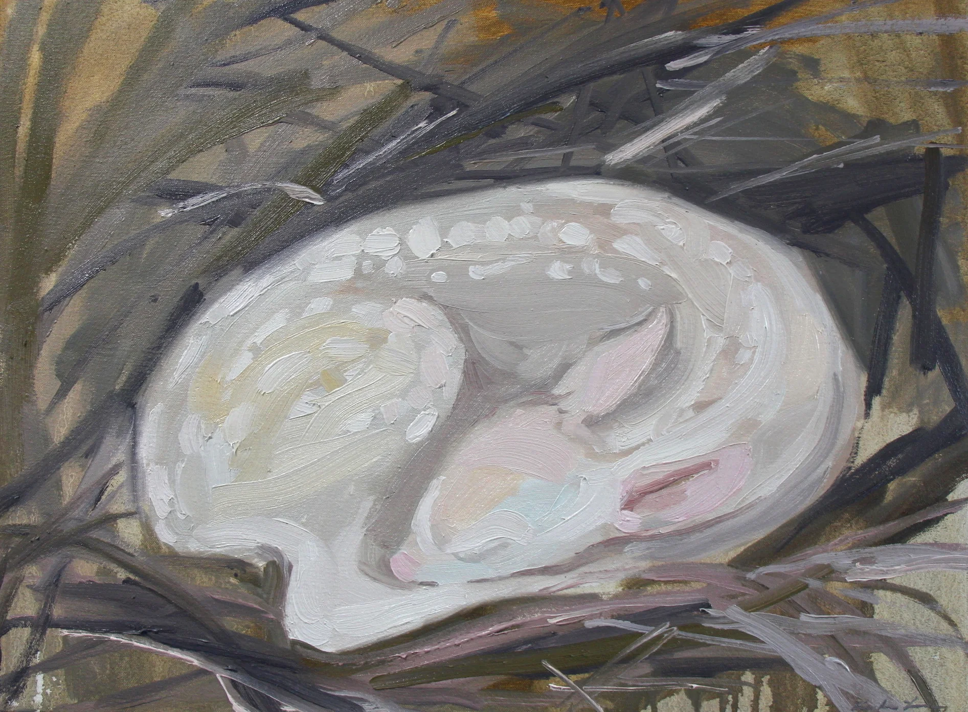  © Nest, 17x23 inches, oil on canvas, 2018 
