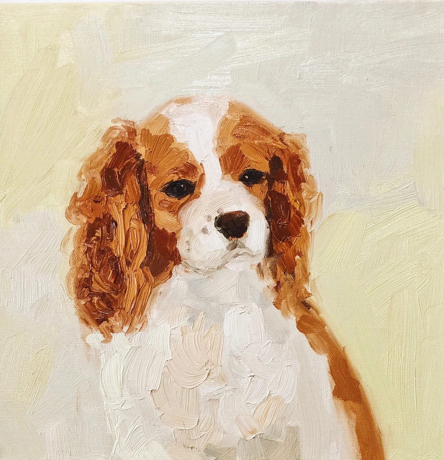 © Charlie, 12x12 inches, oil on canvas.