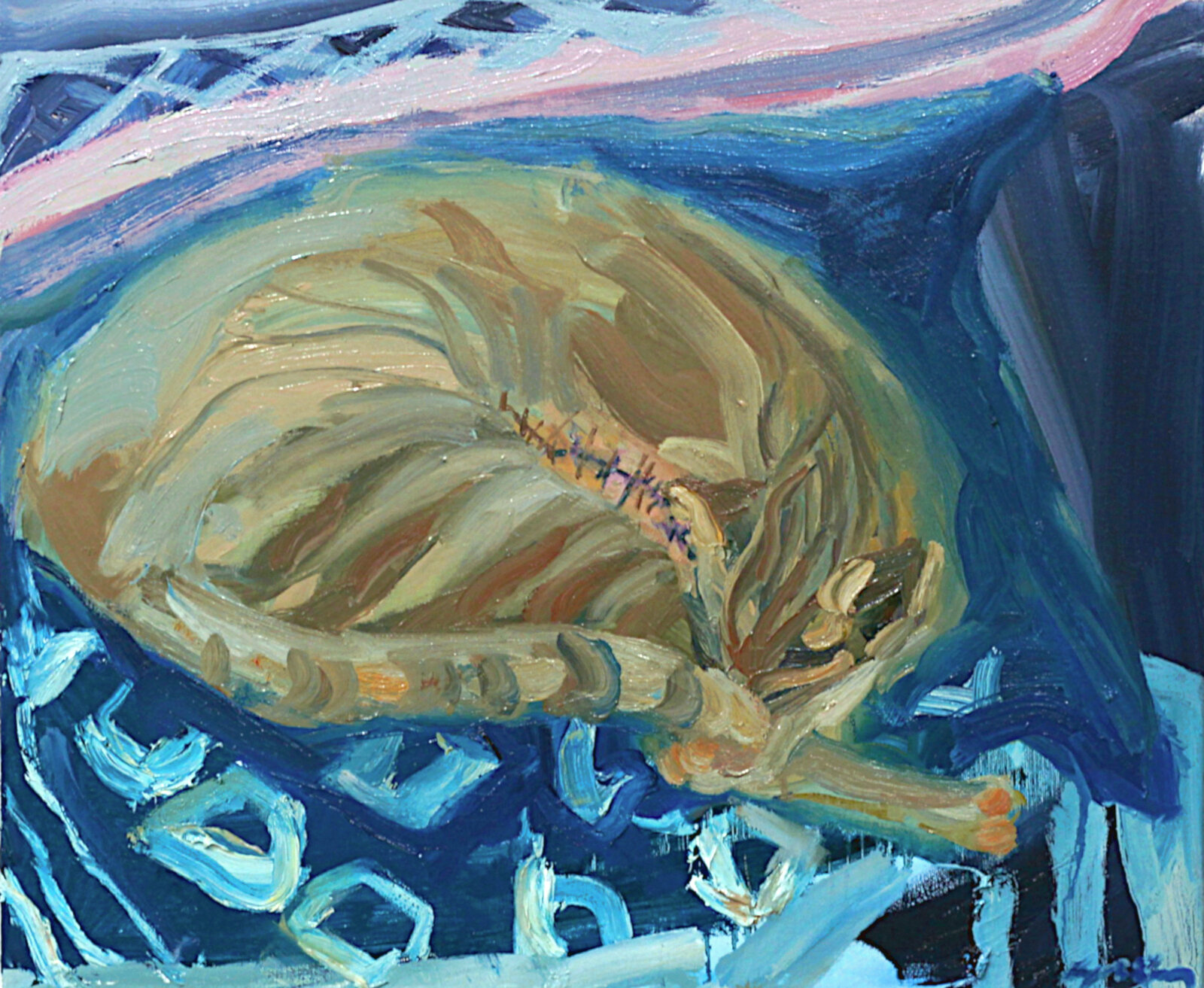 © Stitched Up Cat, 20x24 inches, oil on canvas, 2019