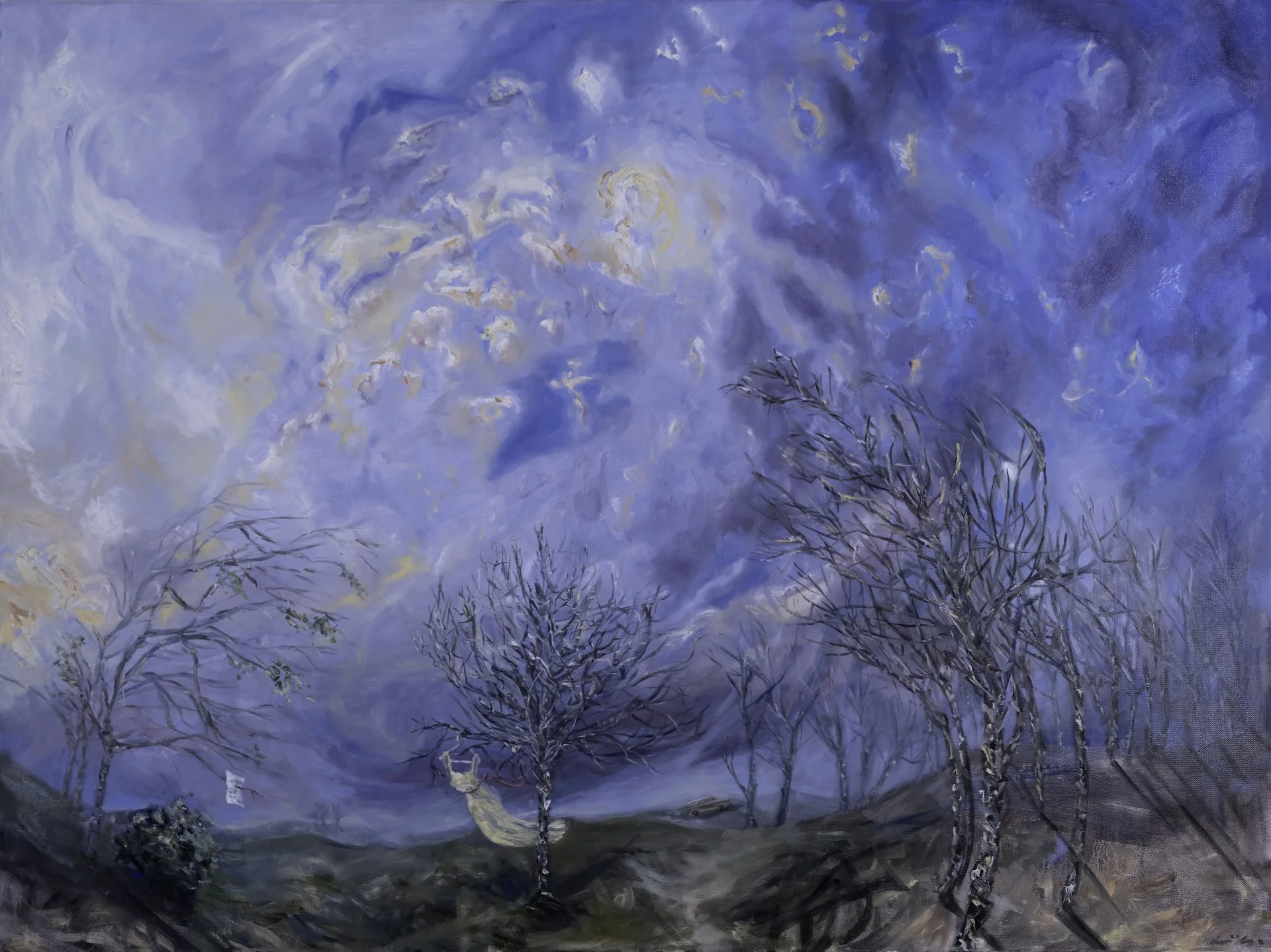  © Swept, 30x48 inches, oil on canvas, sold   