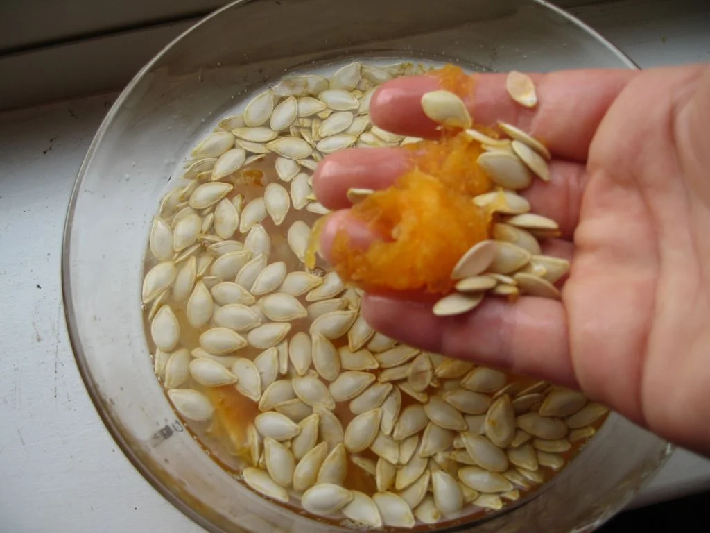 pumpkin seeds -RAW_0004.jpg