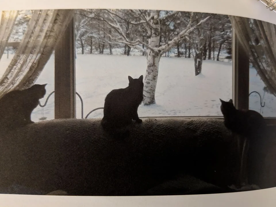 << Lucy Lou, Keba & Crazy cat ♥