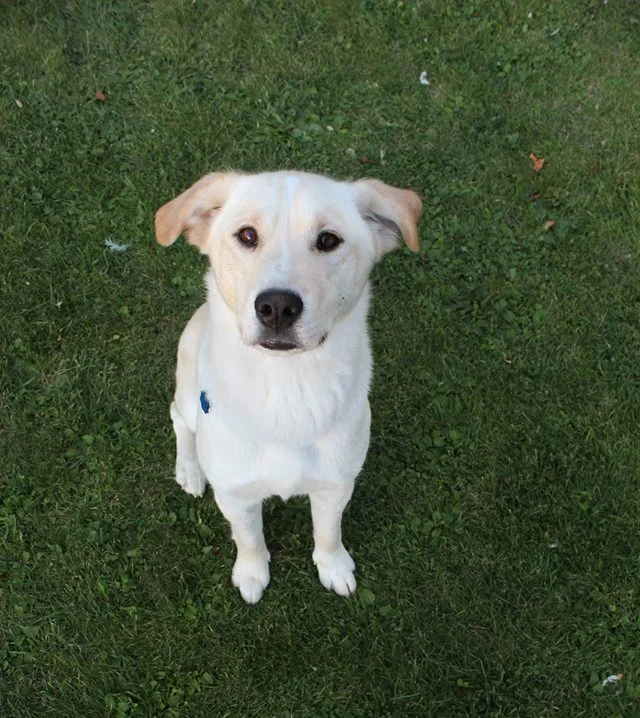 Nala ♥