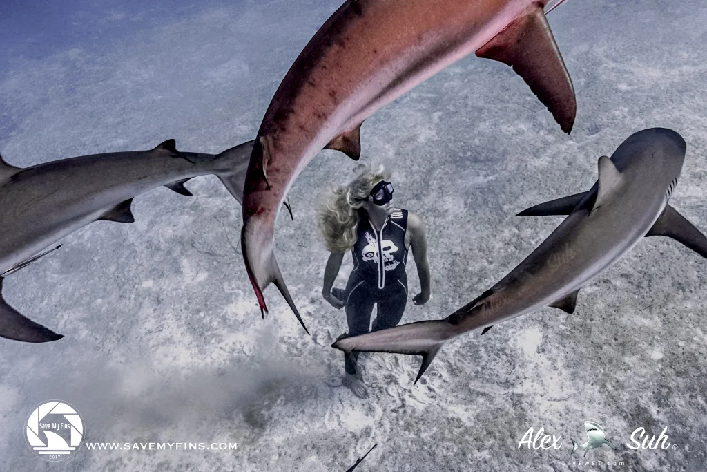 MARKED Liz Ground Circled by Reef Sharks 72dpi.jpg