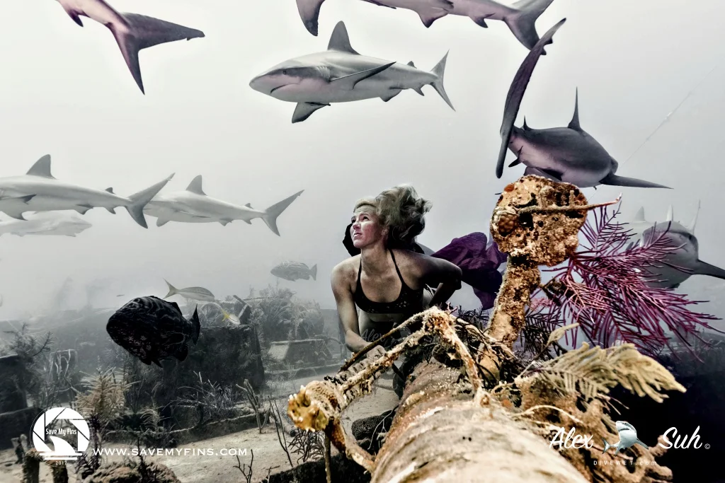 MARKED Liz on Pipe Sharks White Background Color 72dpi.jpg