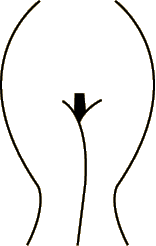 The Landing Strip ~ $62
