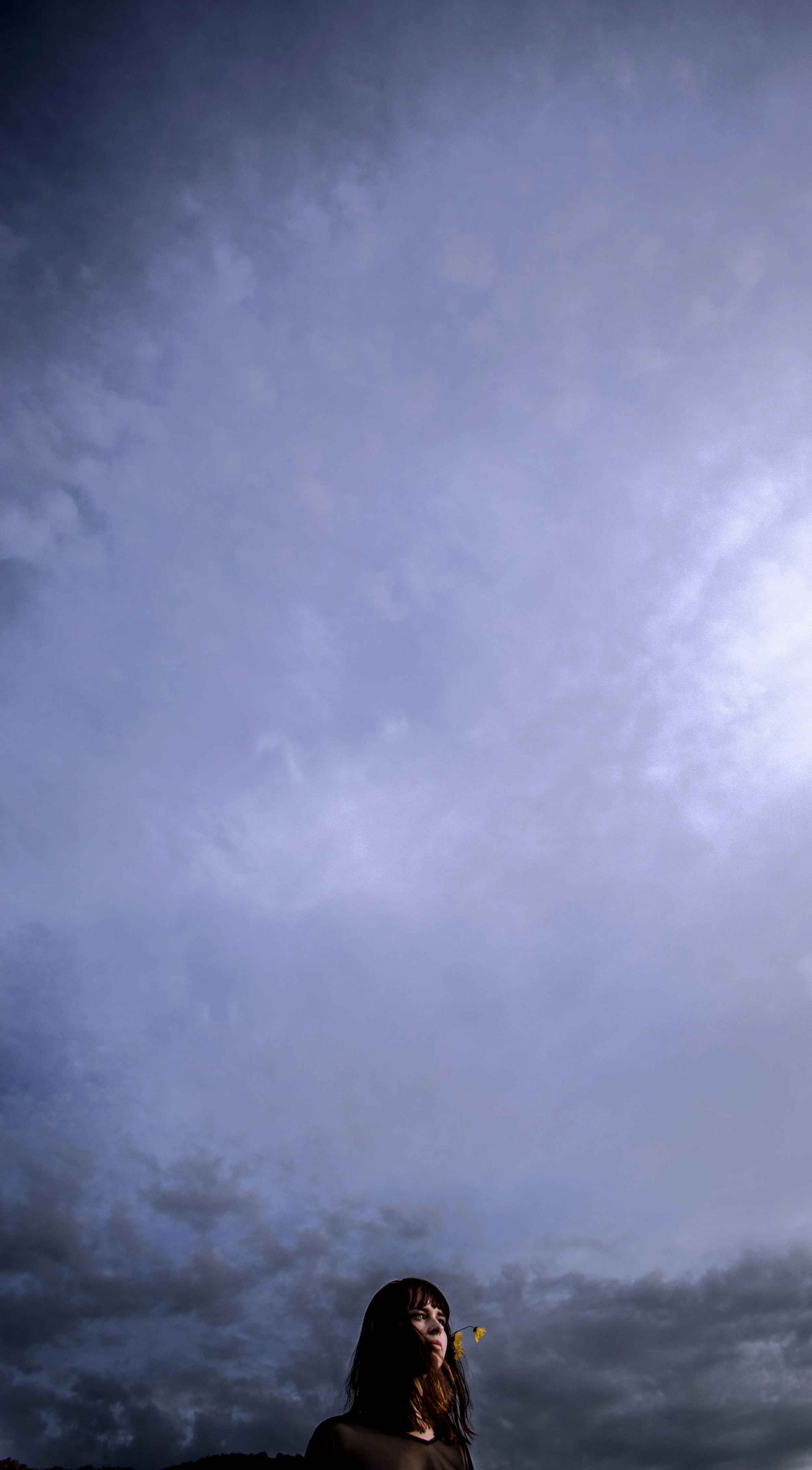 _DSC0100 as Smart Object-1-Recovered.jpg