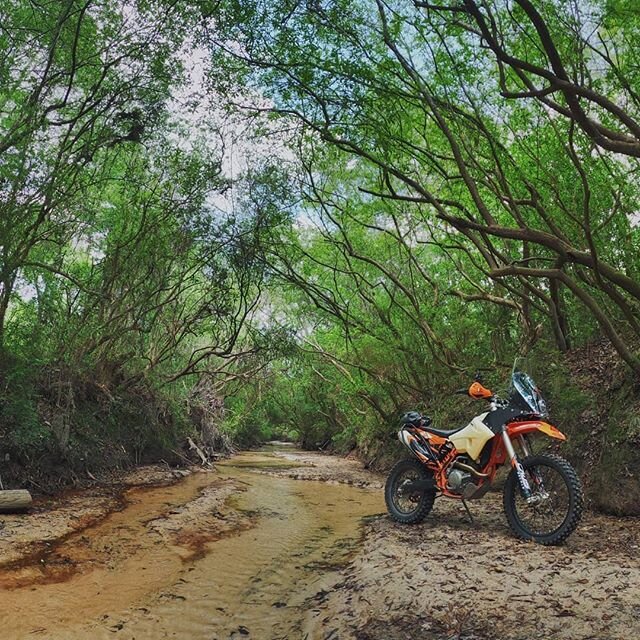 Just out doin some exploring in south Mississippi.