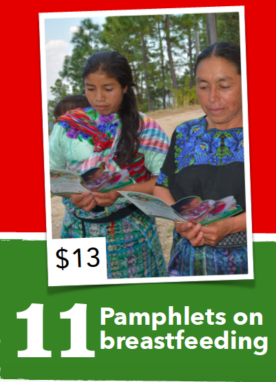 Education is a key part in improving the health of Indigenous Maya K’iche’ mothers and children through the Maternal, Newborn and Child Health (MNCH) project in Totonicapán, Guatemala. Today your donation can help provide pamphlets on exclusive breastfeeding for pregnant women and new mothers. These pamphlets explain how exclusive breastfeeding is important for newborns so they can receive vitamins and protection from illnesses from their mothers. 