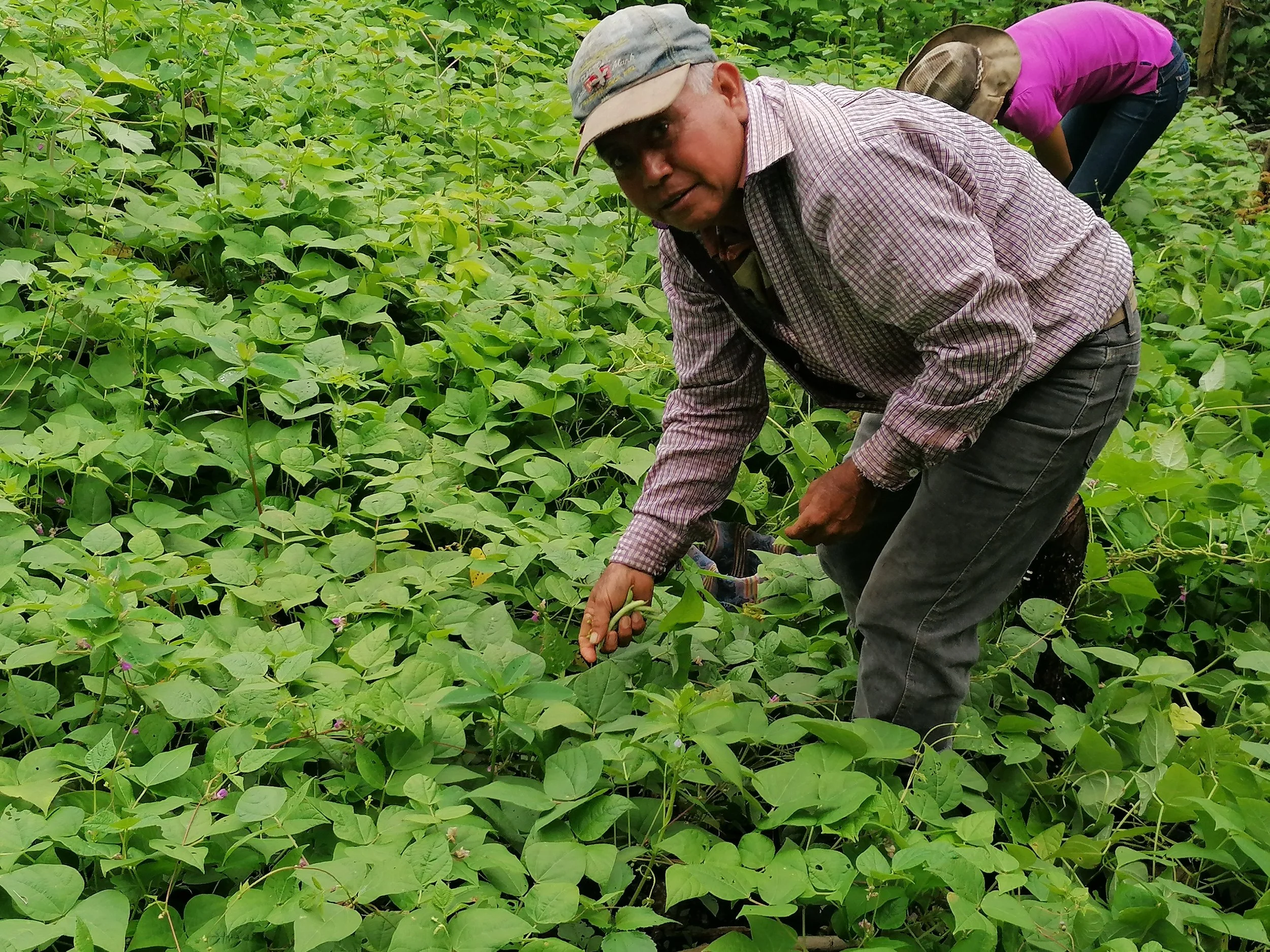 Year-End Update, and Going Forward in 2022