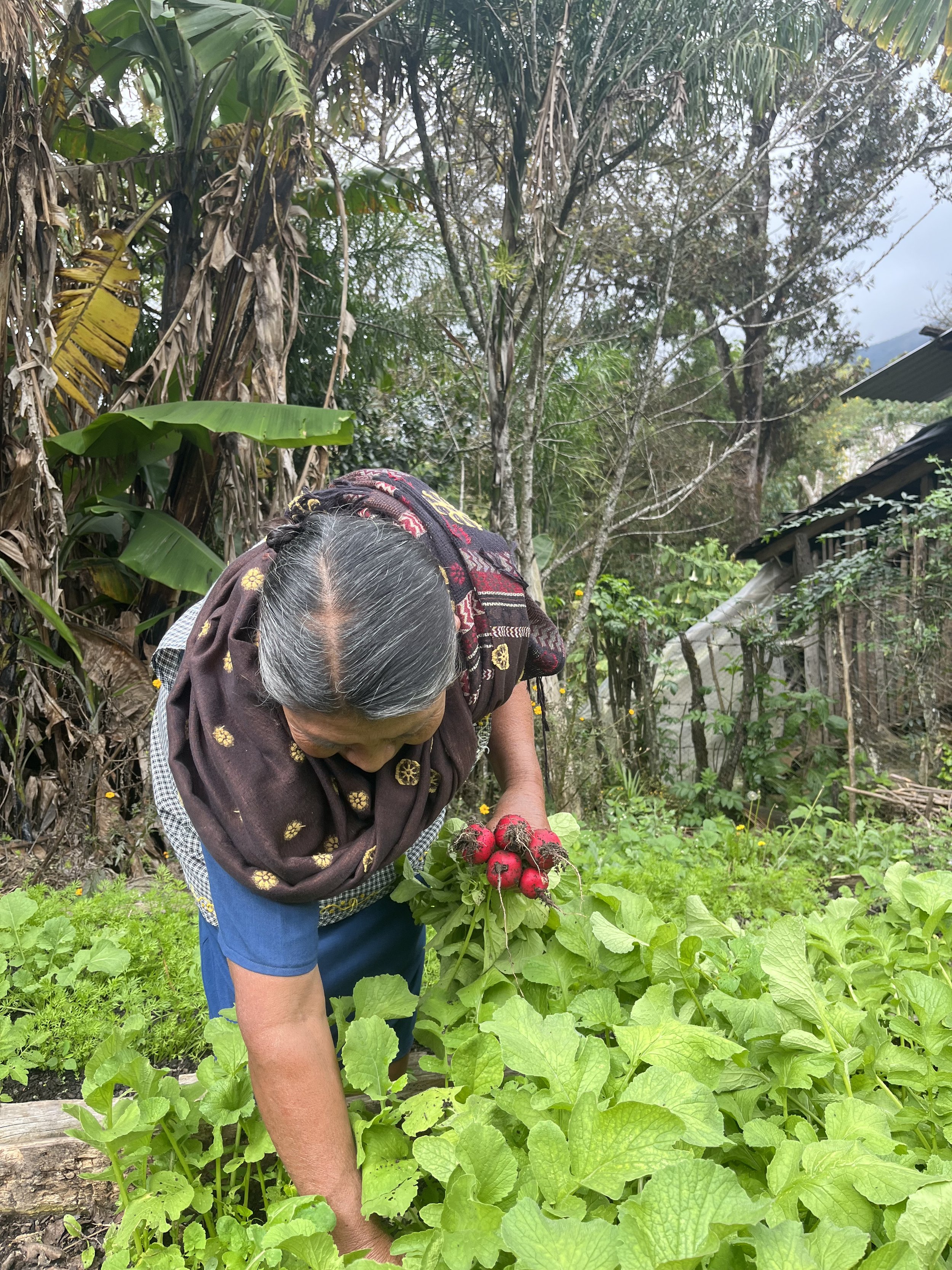 Horizons Reconnects with Partners in Central America 