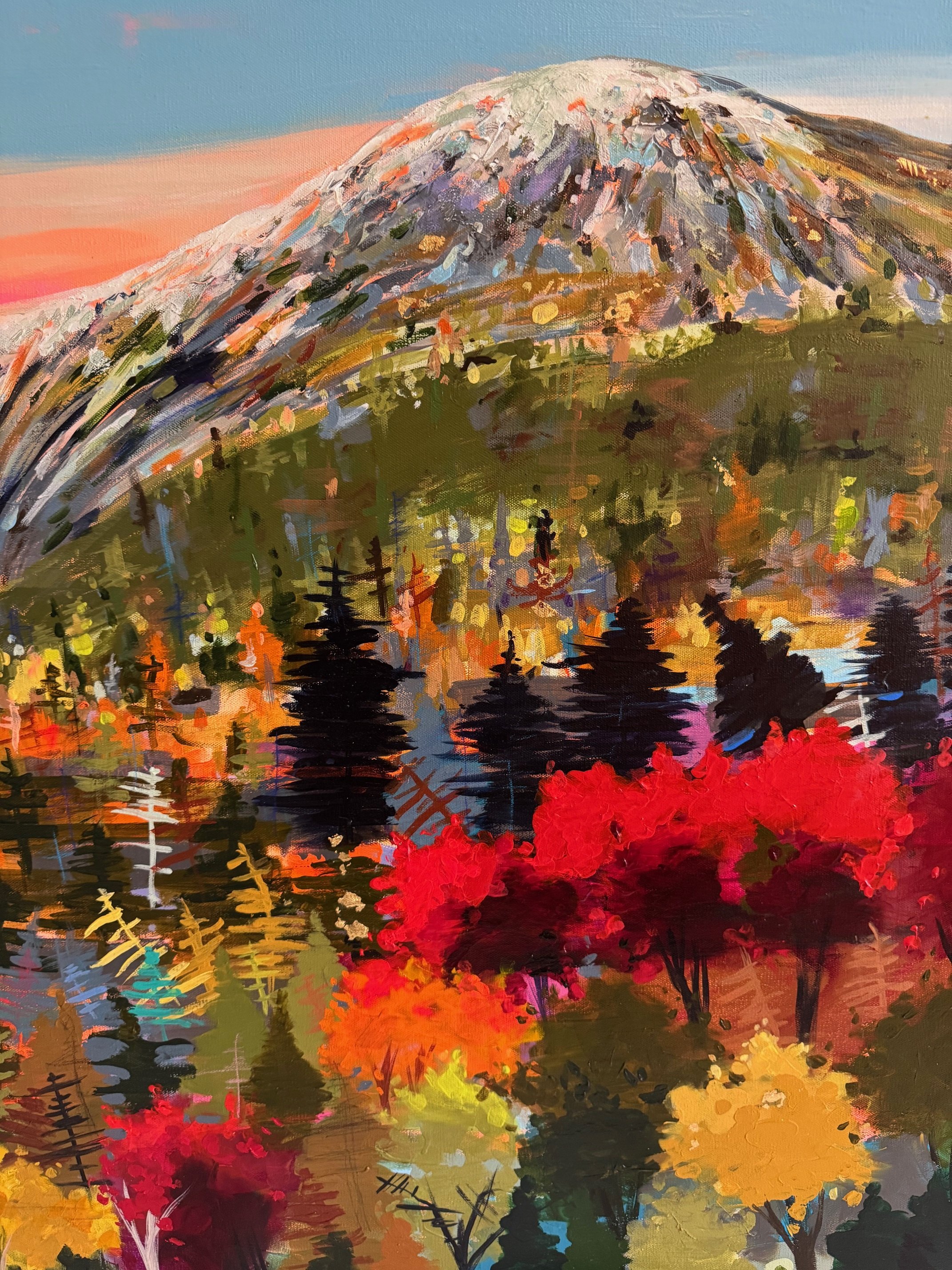 expanssiveness of mout washington det.jpg