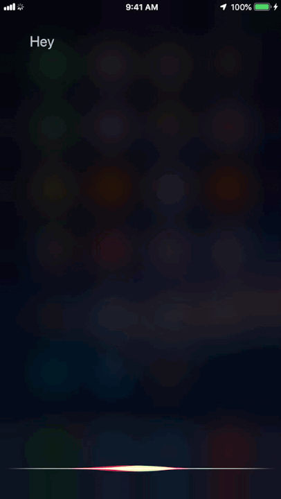 Siri with Revere.gif