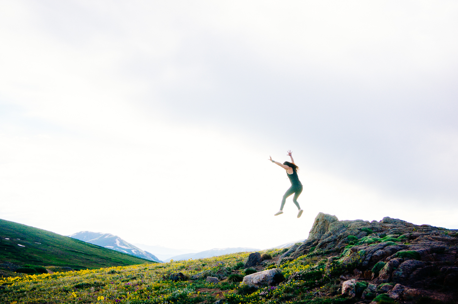 leapaspen.jpeg