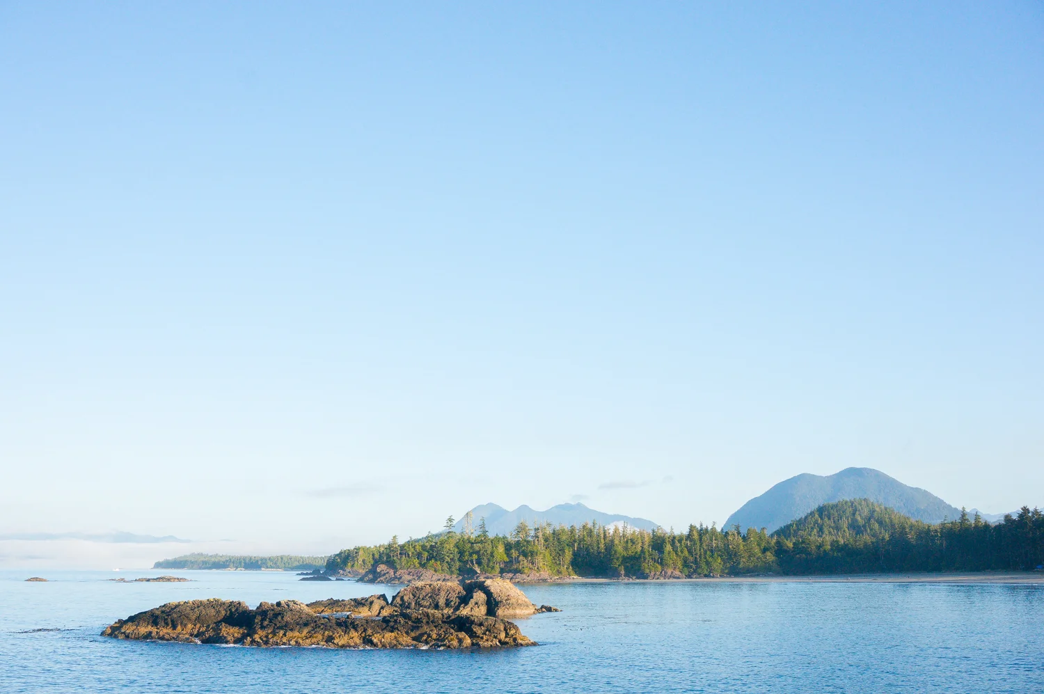 tofino3.jpg