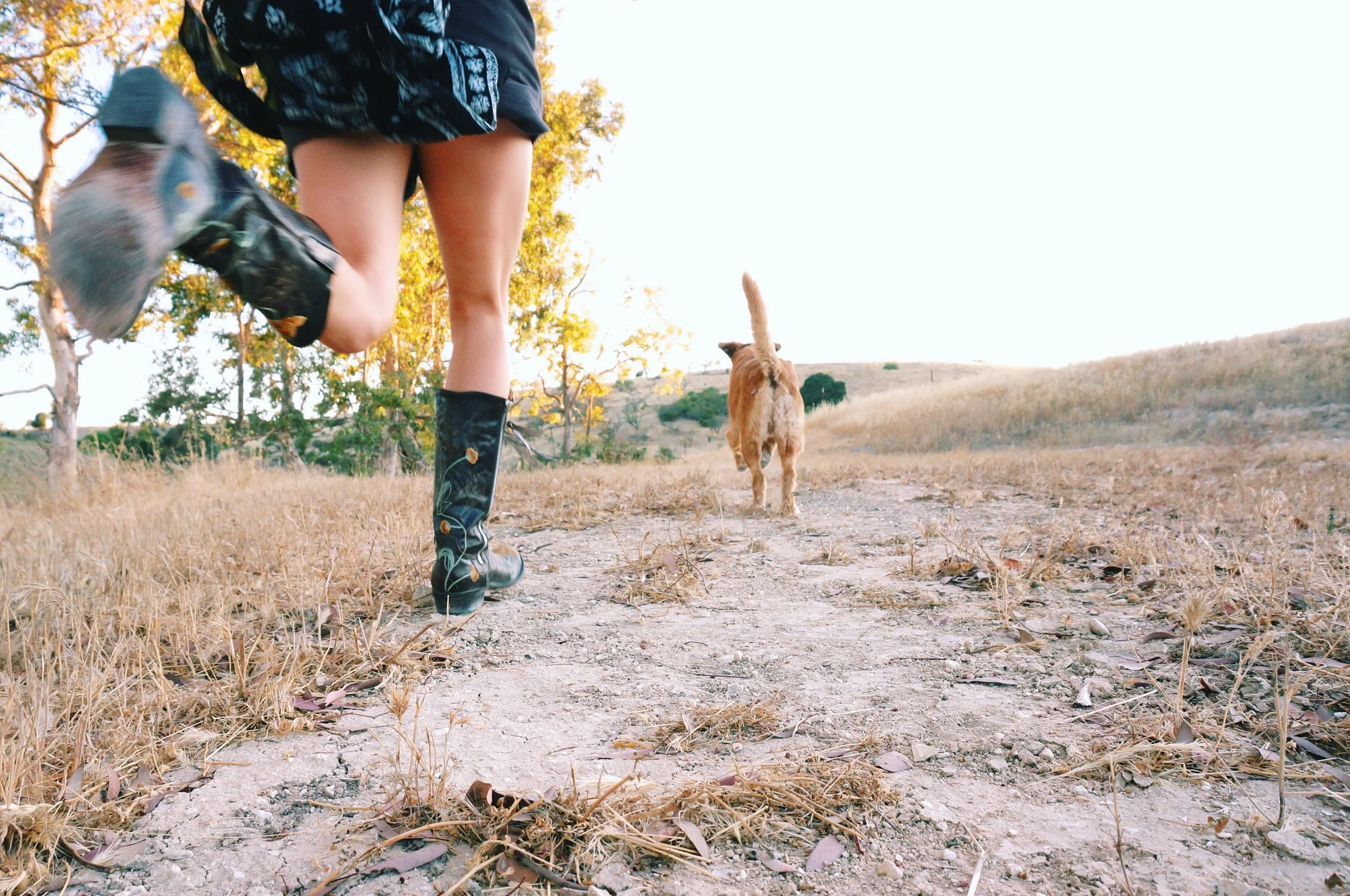 Failed Book Clubs & Found Creativity