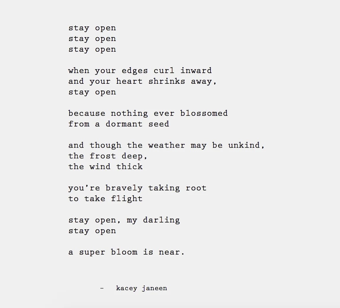 Stay Open 