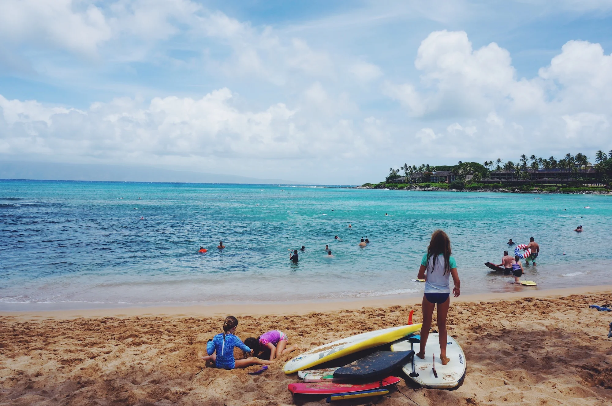 Maui: An Underwater Tea Party of Seventeen
