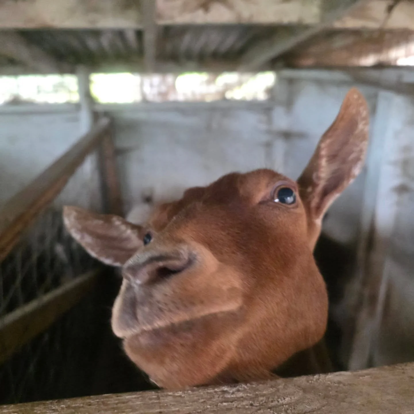Hello from Anne
