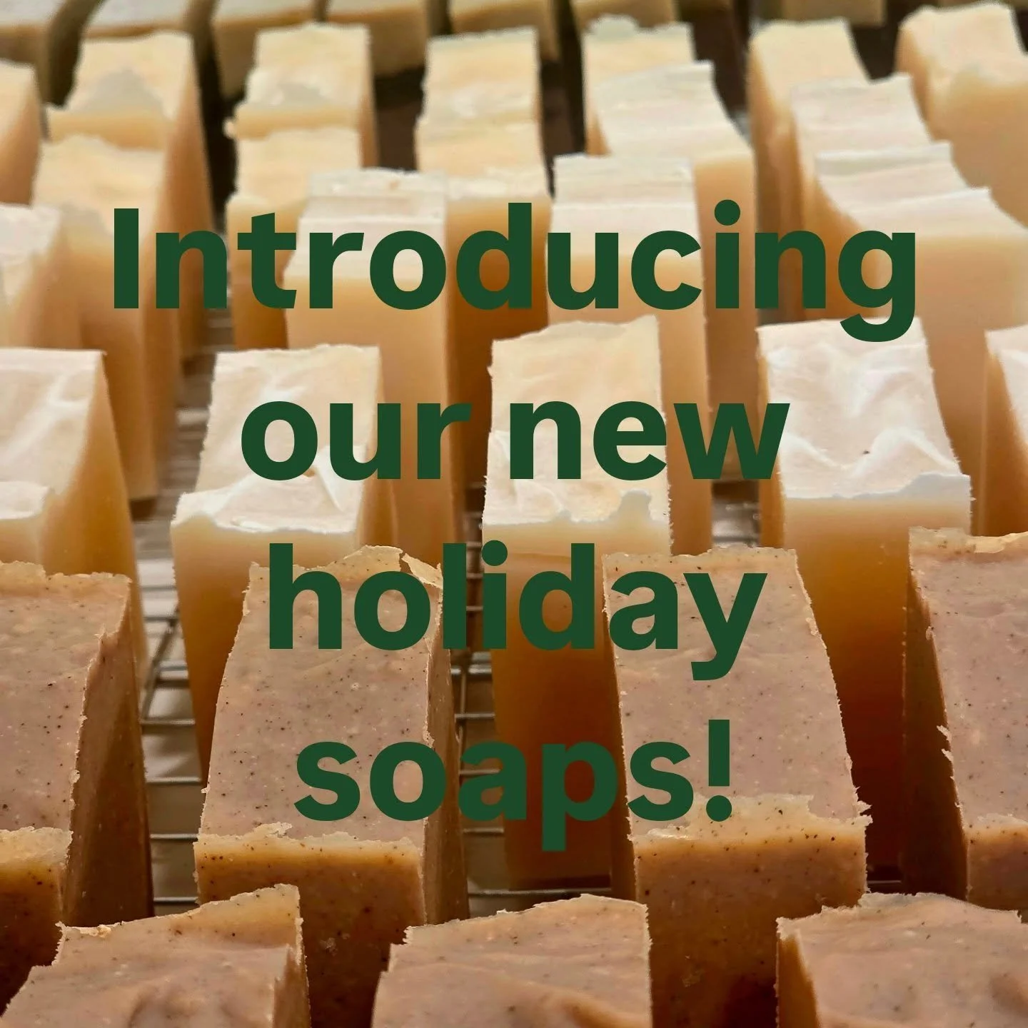 We heard you, and we are proud to announce our holiday soaps! Flavors and ingredients you requested! #goatmilksoap #holidayfair #latherup