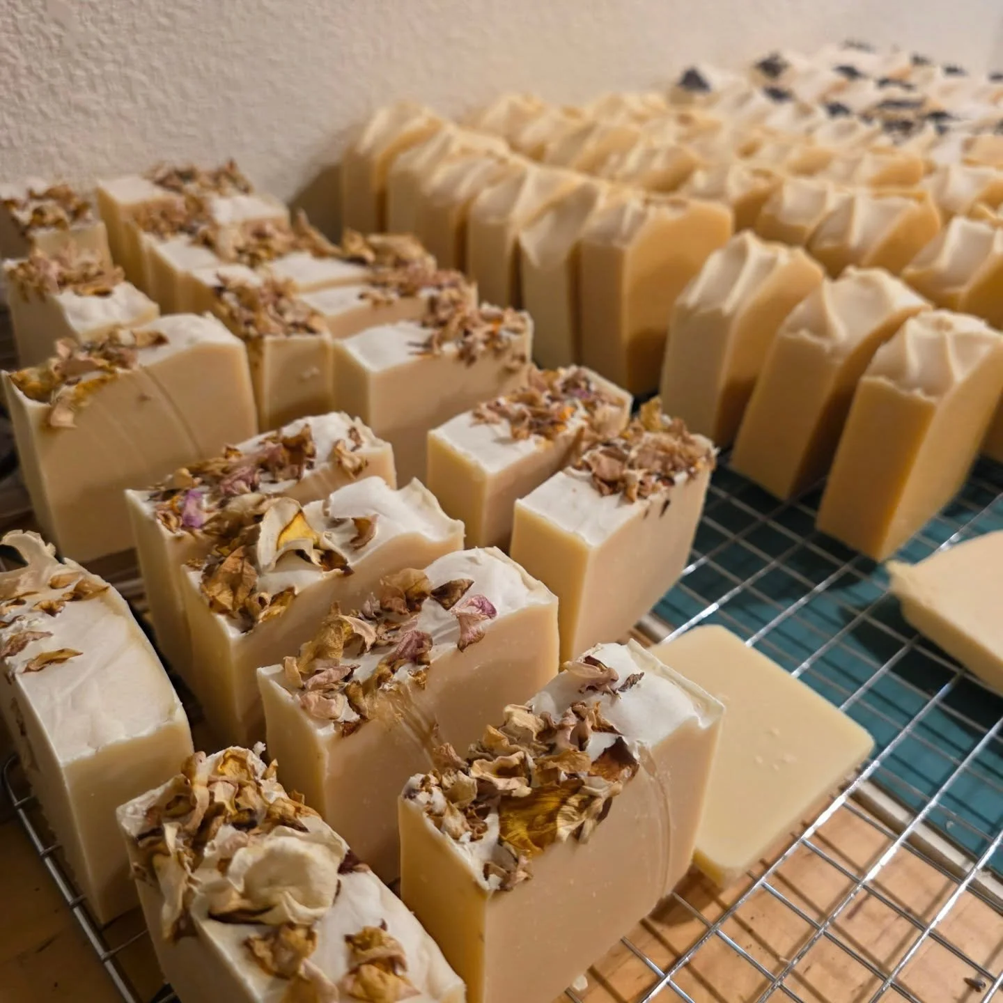 Gearing up for some events in March! Stay tuned for more info!