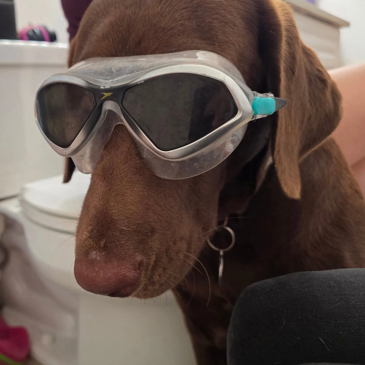 It's always important to protect your eyes while working with lye. Thank you Kona for the reminder!