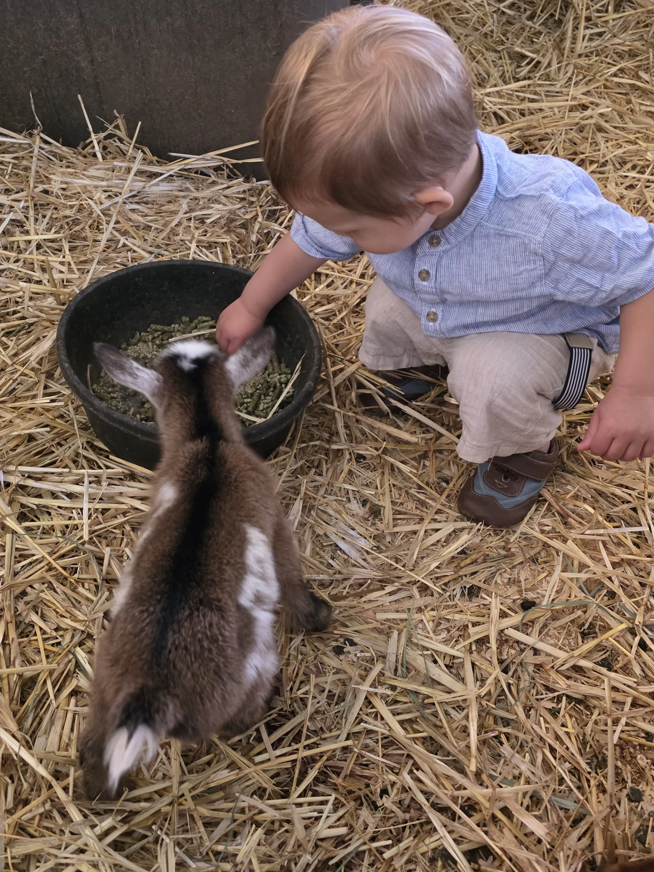 Coming Soon: Spring 2026 babies!