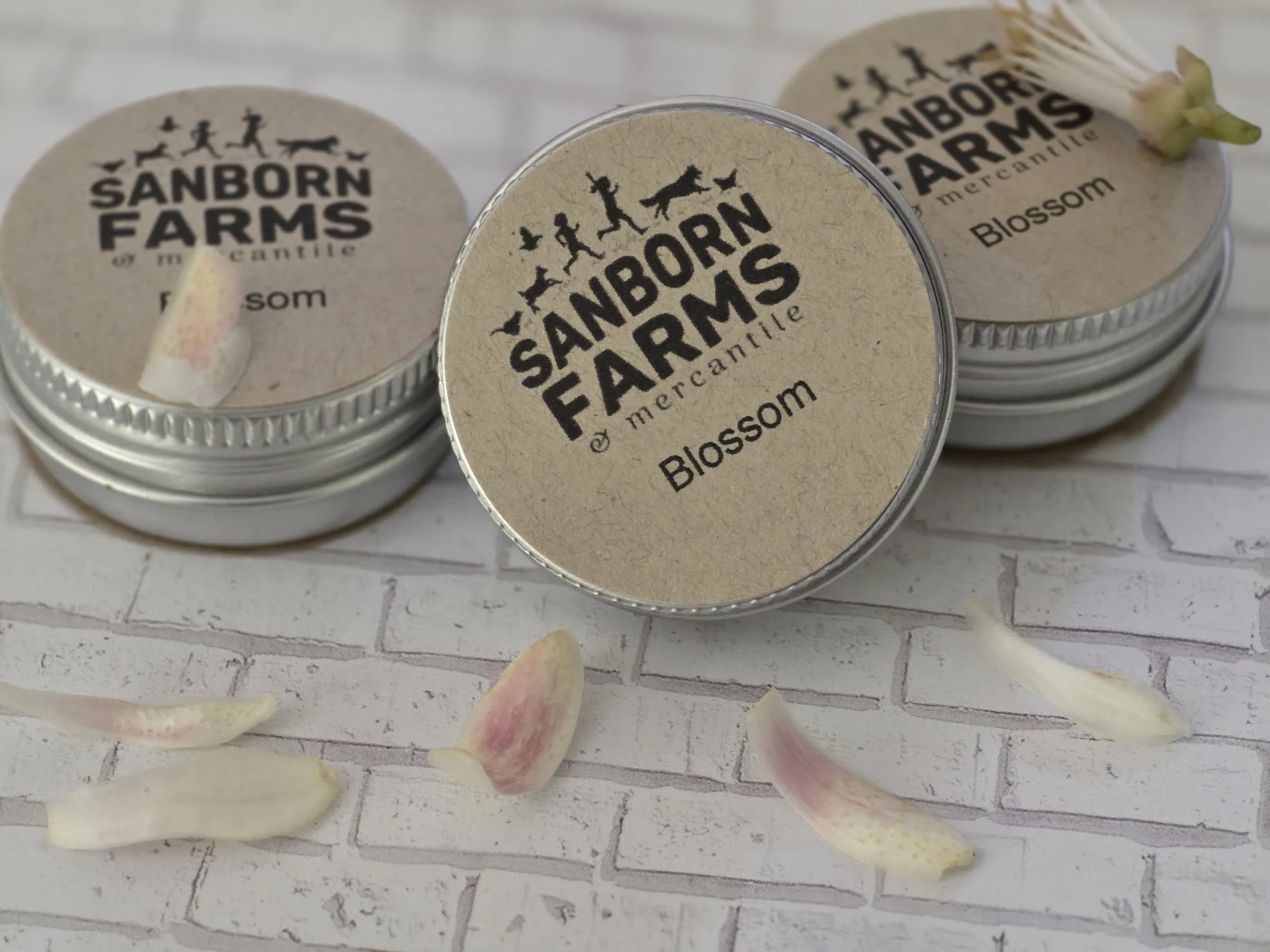Blossom2.jpeg