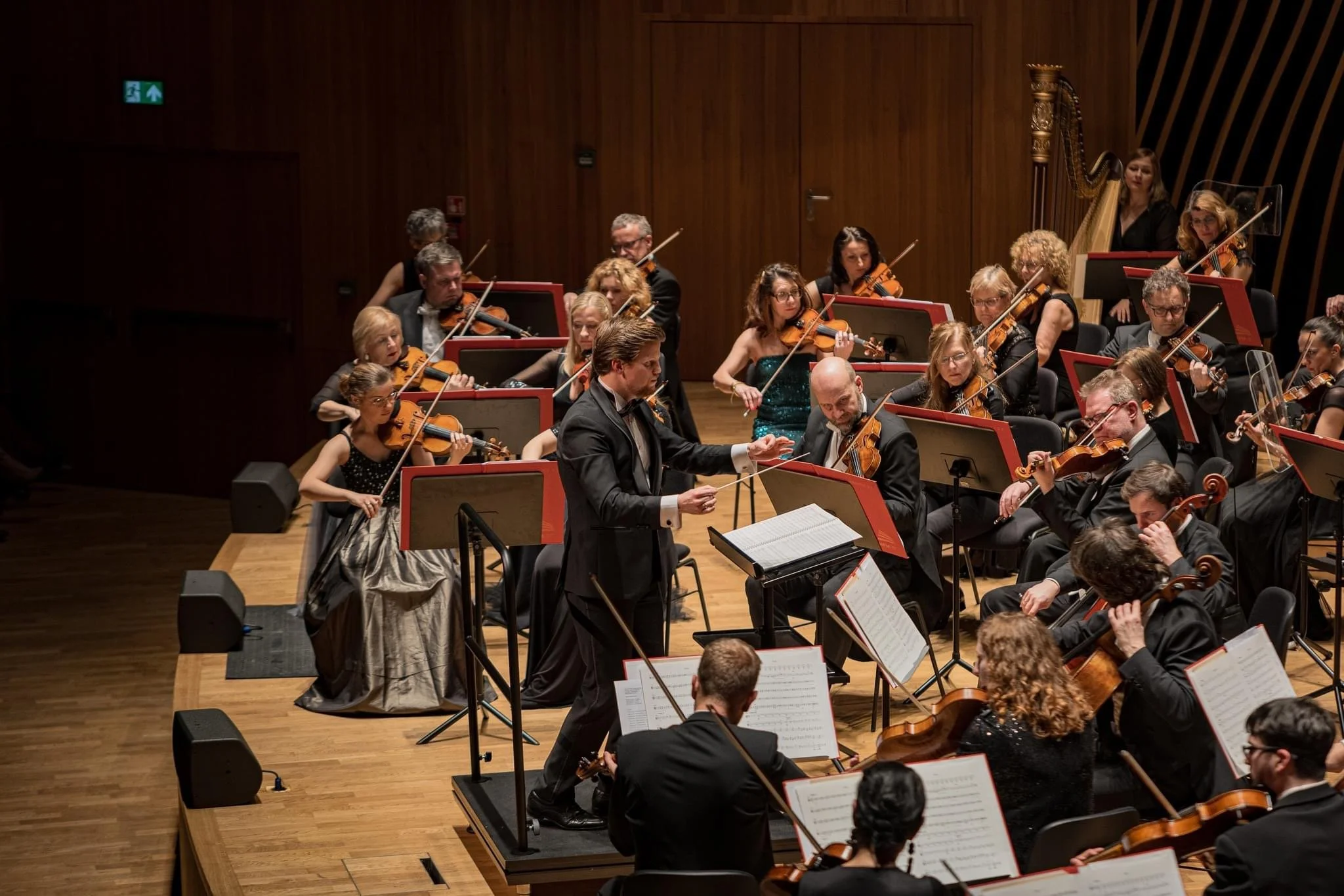 Cavatina Hall | New Year's Concert