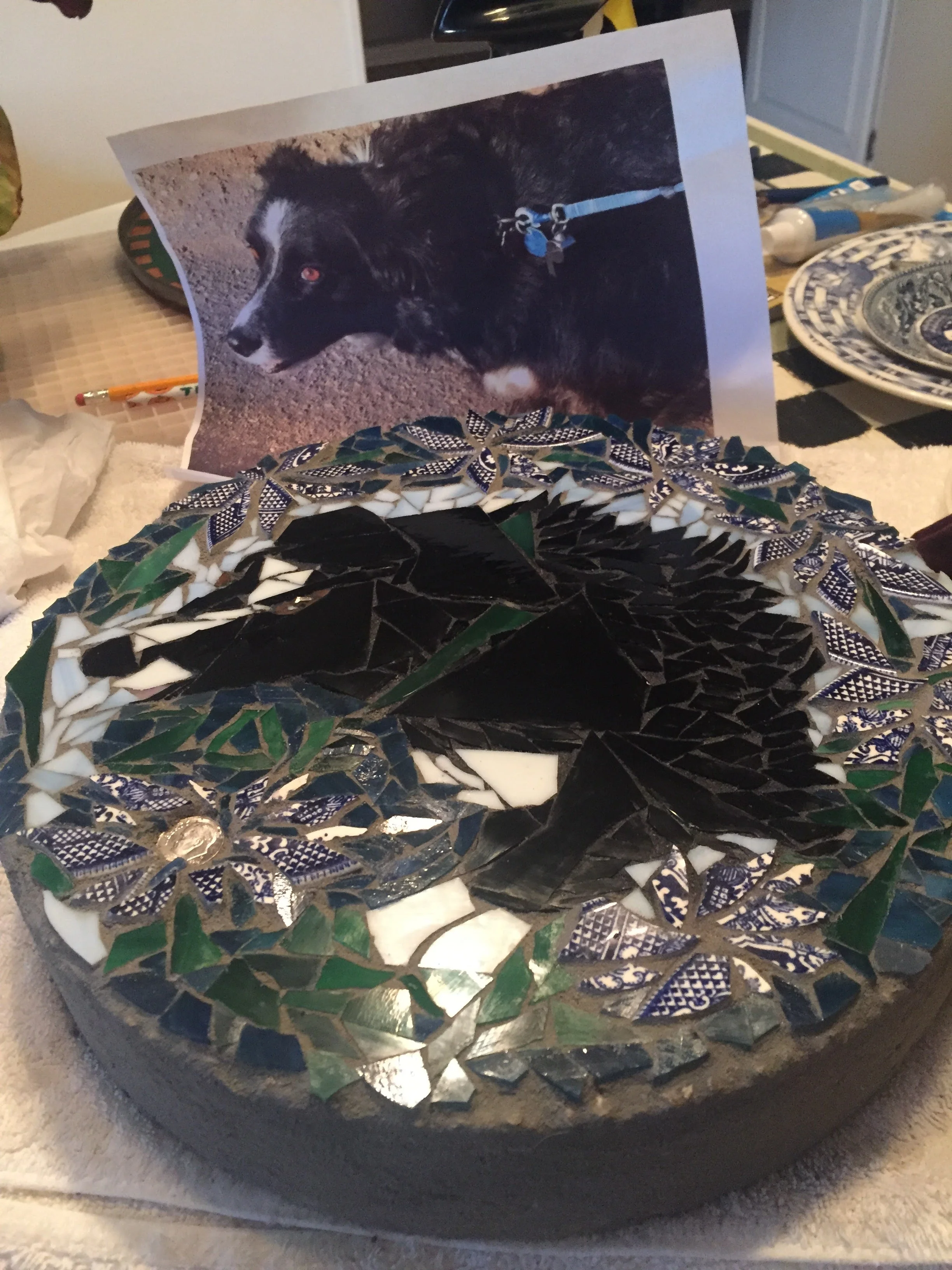  Zoe is a energetic Boarder Collie that doesn't like her picture taken. On this stepping stone she is surrounded by English plates and sea glass. The dime is a wonderful remembrance from the client's husband. He leaves her dimes in the most unique pl