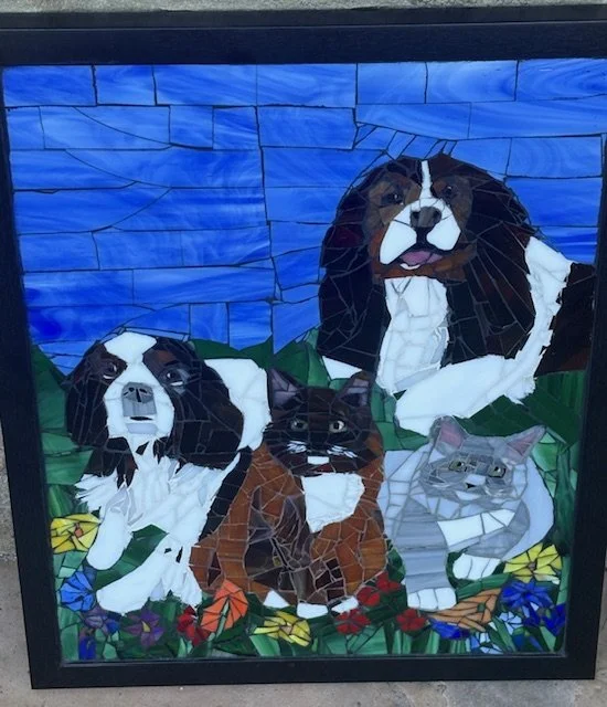 vet animals.jpeg