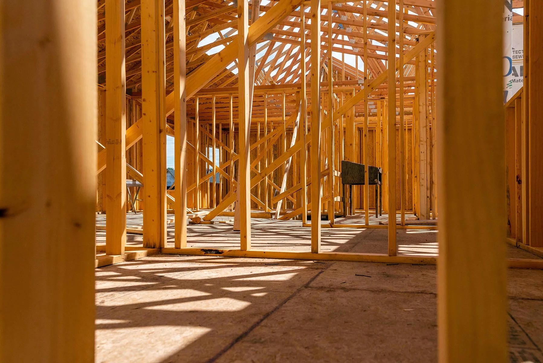 Good bones.jpg