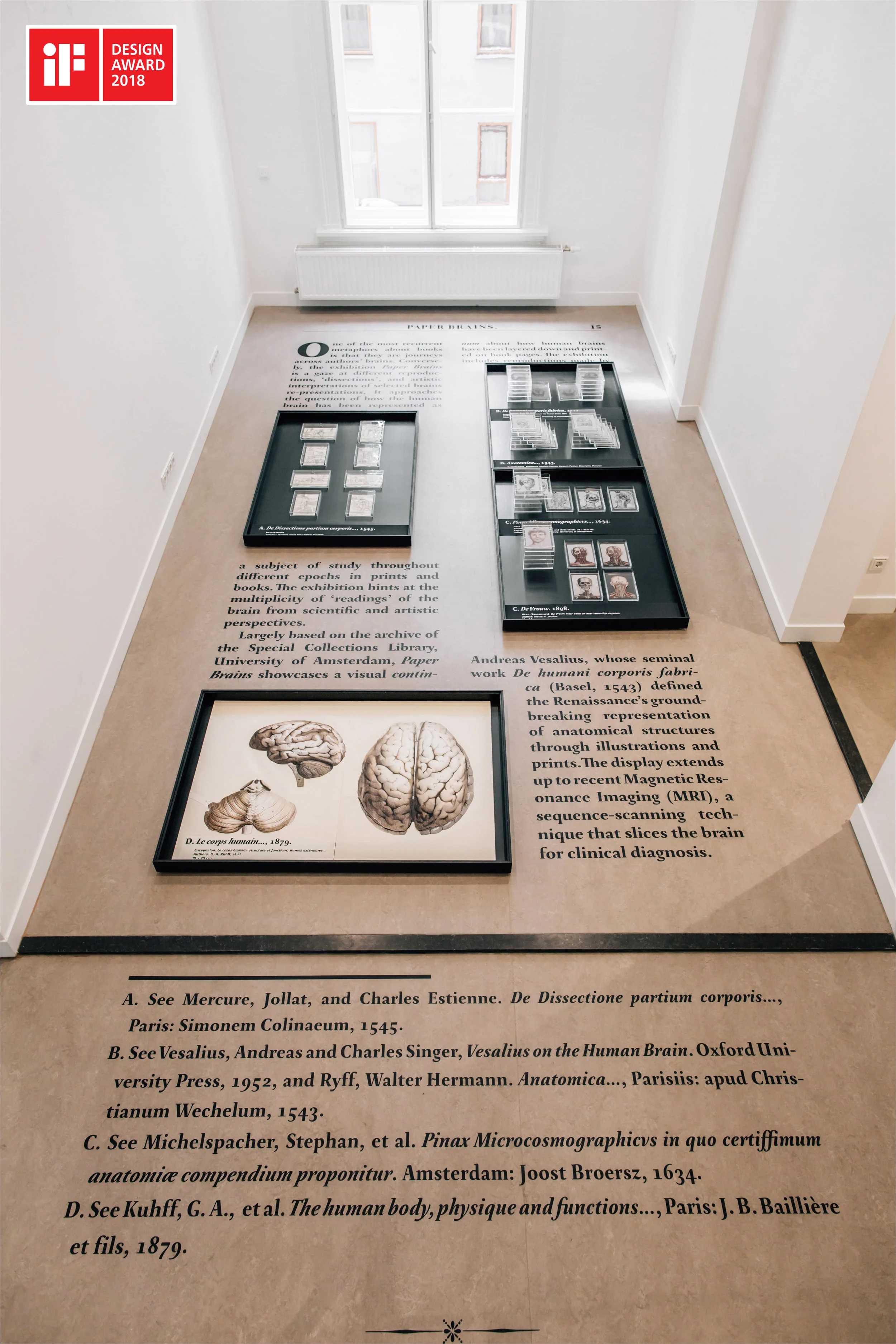 Paper-Brains-116_colorIF.jpg