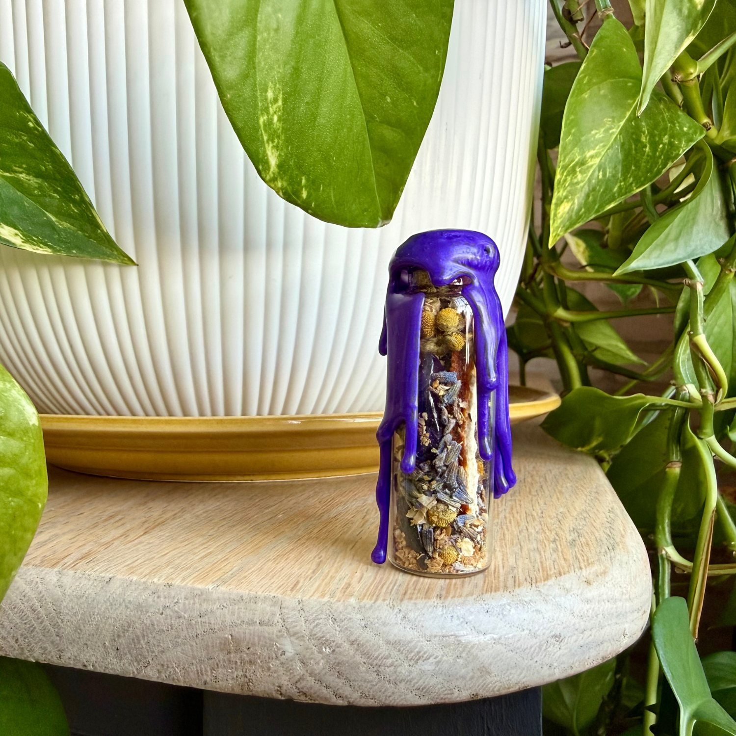 Shop M&S Shop pictures(1).png