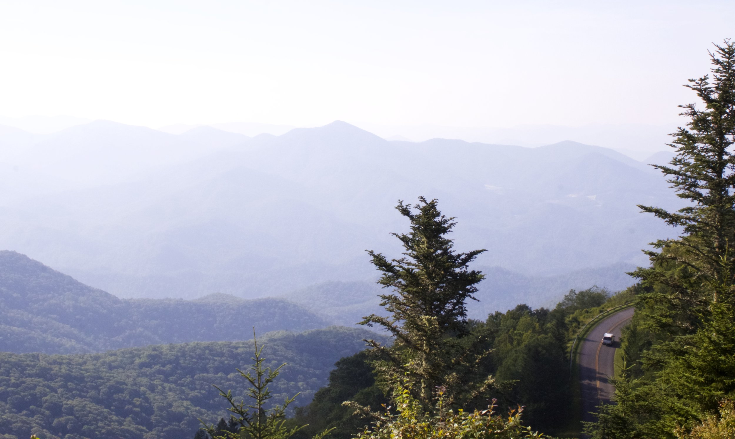 _MG_6245.jpg