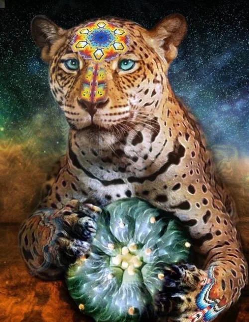 jaguarmedicine.jpg