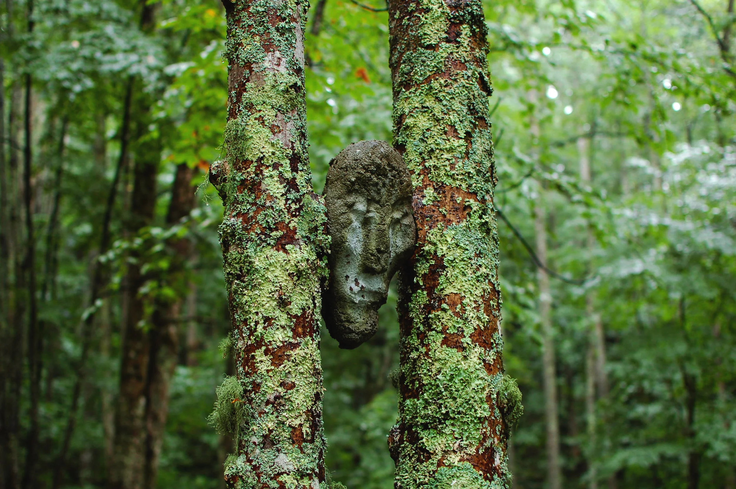 DSC_7077---e2.jpg