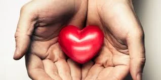 Our Culture is Unkind.