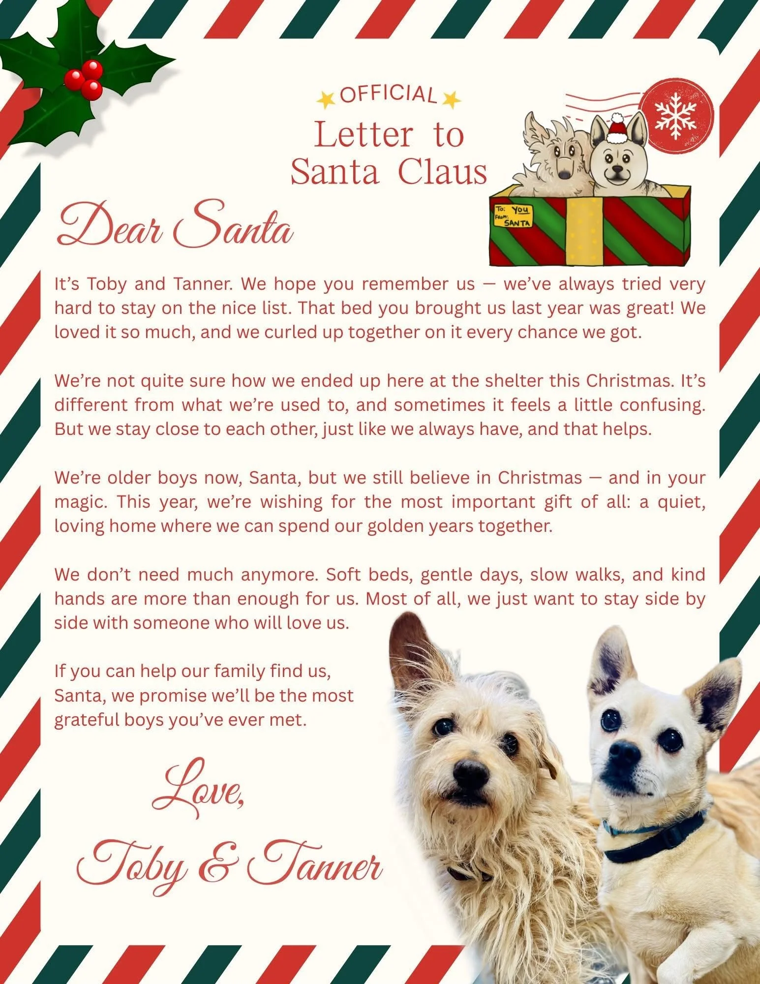 We did a thing&hellip; Finn and Walter don&rsquo;t know what to think yet, but they&rsquo;re getting used to the idea.