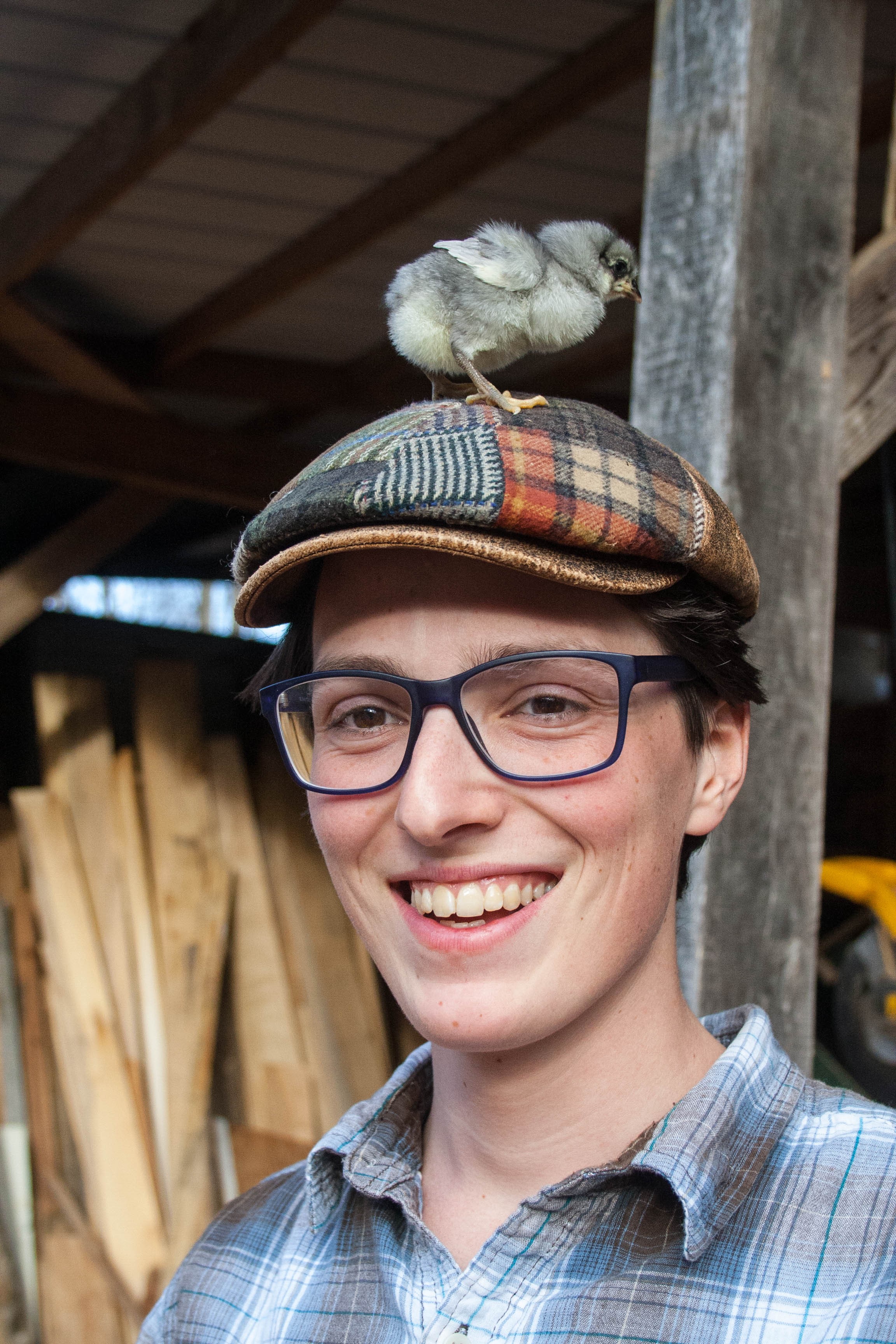 Zach English joined Pasture Plate in 2017. With over 3 years experience in poultry at Natural Ways Homestead, Zach manages the pastured poultry operation at Natural Ways Homestead for Pasture Plate. He raises egg layers and broilers on pasture. 