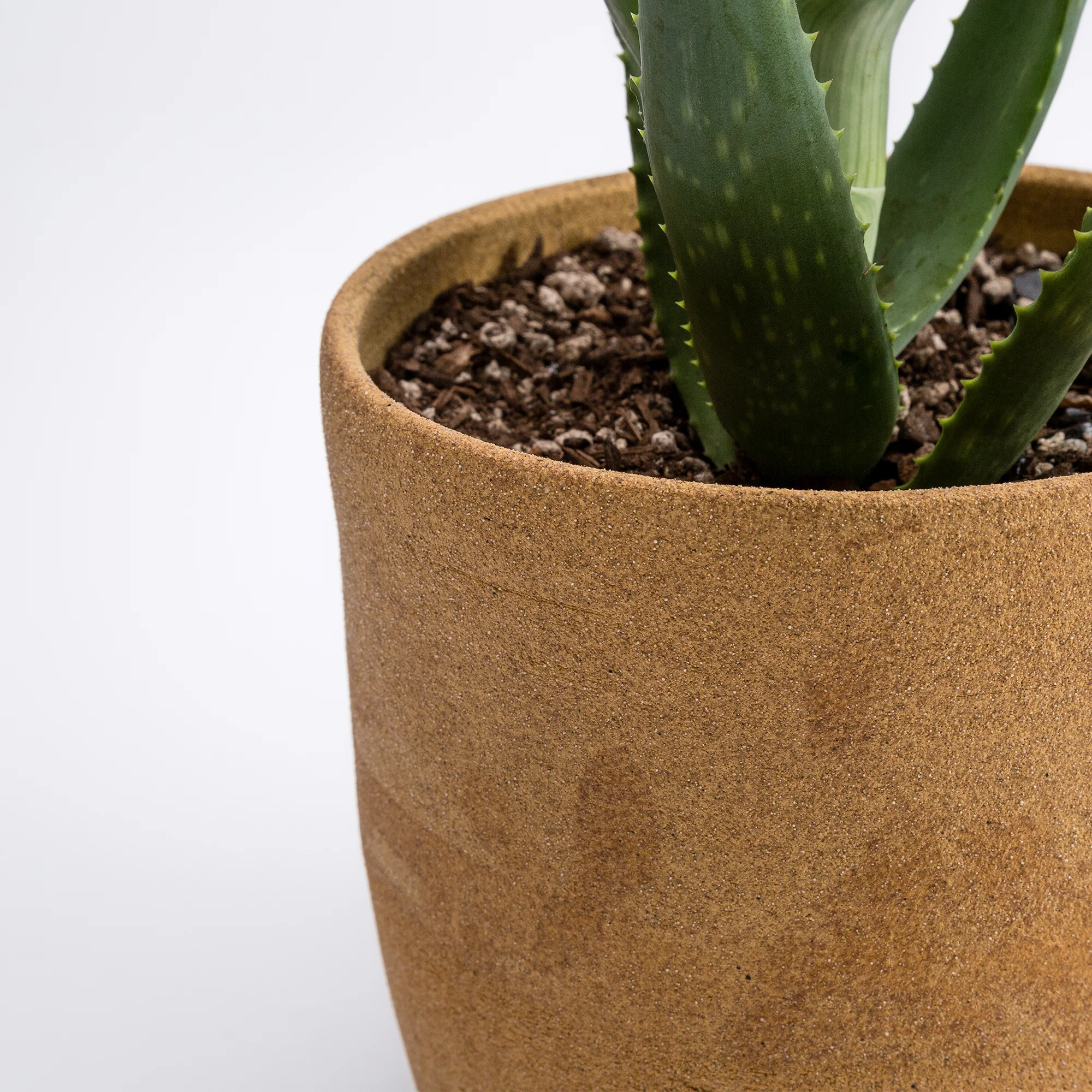 Uzumati_Bristlecone-Planter-02.jpg