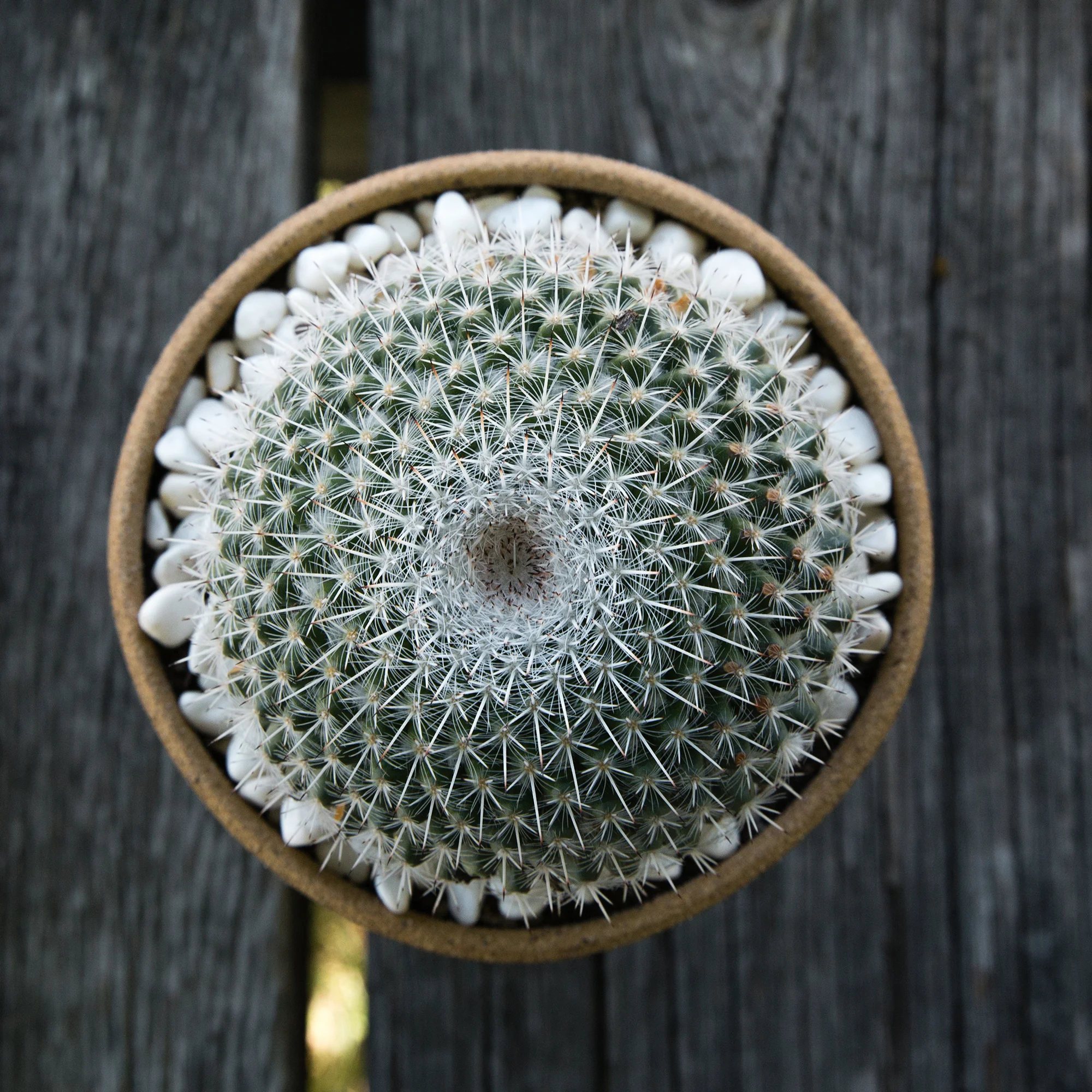Uzumati_Needlegrass-Planter-05.jpg