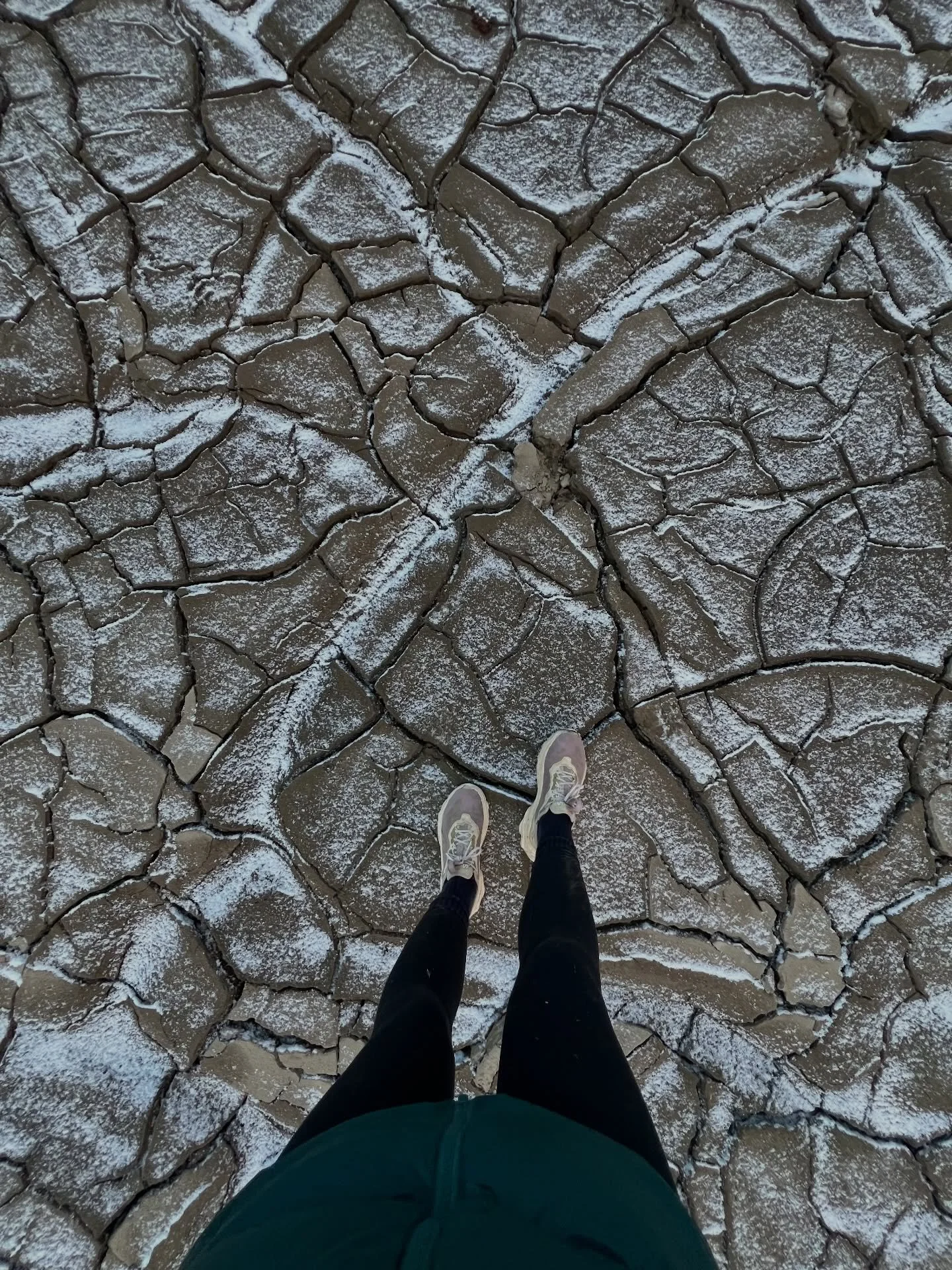 Happy New Year. I hope you all had a great holiday. I am back to work after a few weeks of spending quality time with humans I love, outside, making good meals and just settling into a slower rhythm post holiday madness. I&rsquo;ve spent the last two